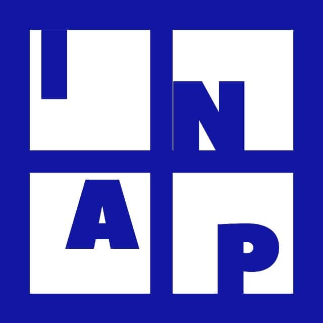 Instituto INEAPI