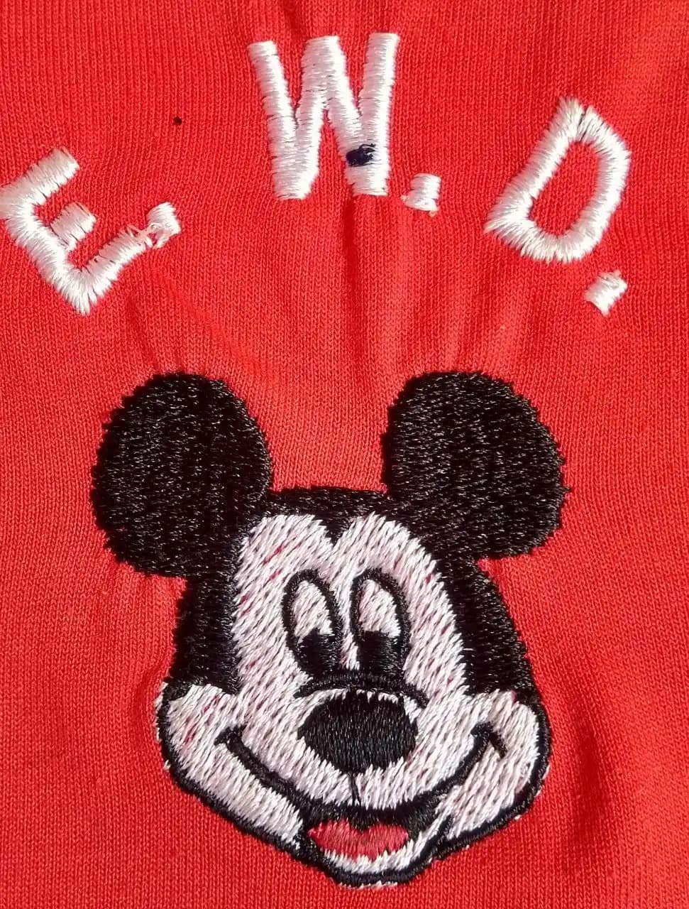 EDUCANDÁRIO WALT DISNEY
